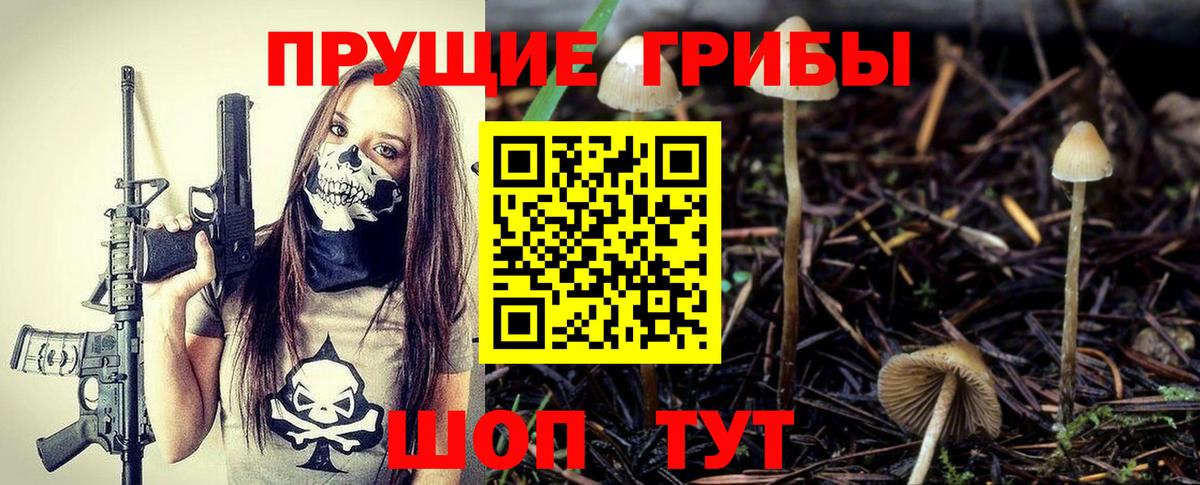 Коркино  Псилоцибиновые грибы Magic Shrooms  Псилоцибиновые грибы Cubensis  Вход с VPN 