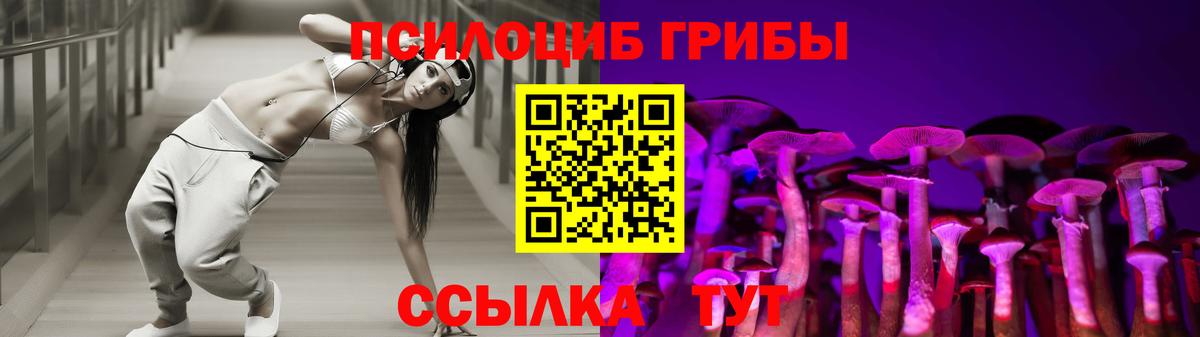Галлюциногенные грибы Psilocybe Коркино